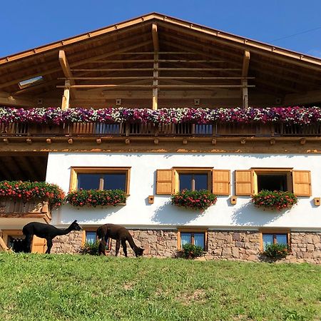 B&B Belvedere Даяно Экстерьер фото